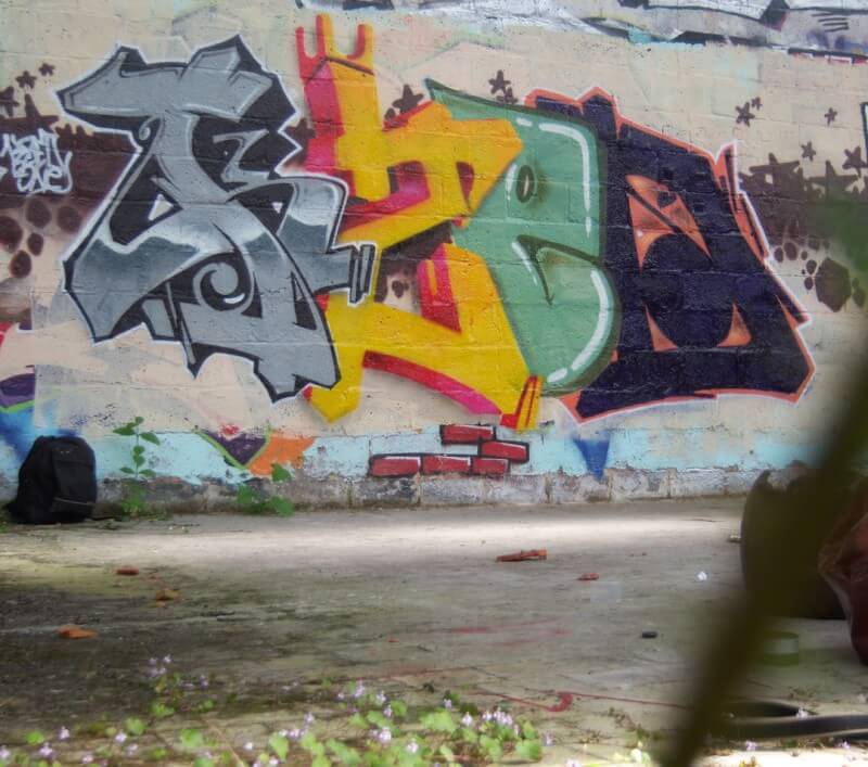 KZED