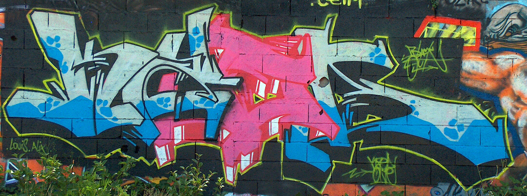kzed 2007