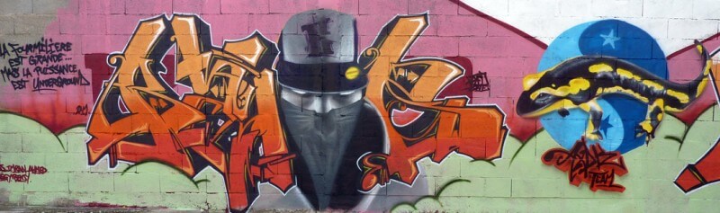 Salamandre//Amiens