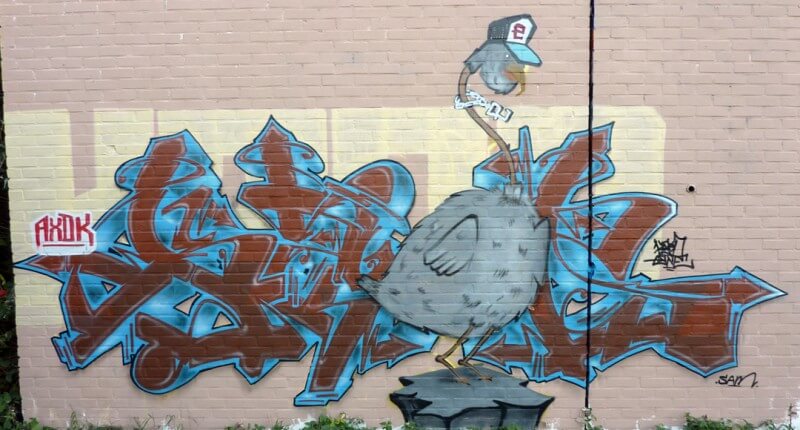 Kzed
