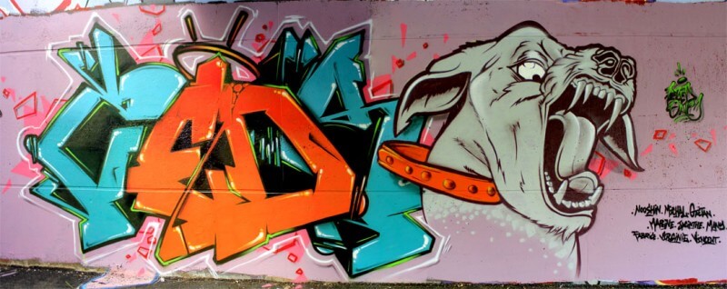 kzed axdk team- Beware the dogg