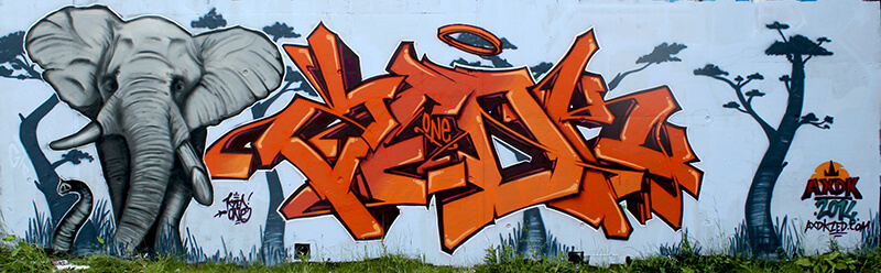 Peinture Safari de Kzed Axdk - Amiens Graffiti Décoration