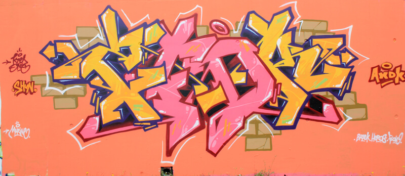 kzed axdk - dedicace "Shun"- Amiens Graffiti